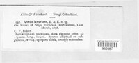 Image Associated With the Occurence